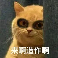 本多猪四郎 フェアスピン ログイン 自身の微博（中国版ツイッター）とツイッターに「上海国際映画祭に出席するために上海に行く予定です